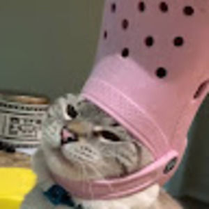 Meet your Posher, Jasmine